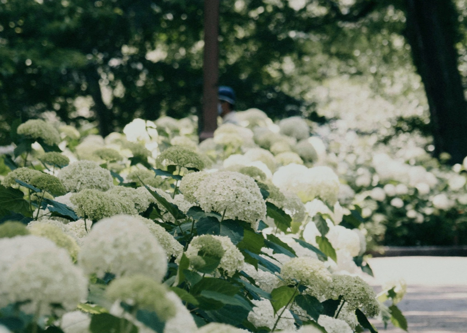 The One Tool Every Flower Farmer & Florist Should Be Using on Instagram